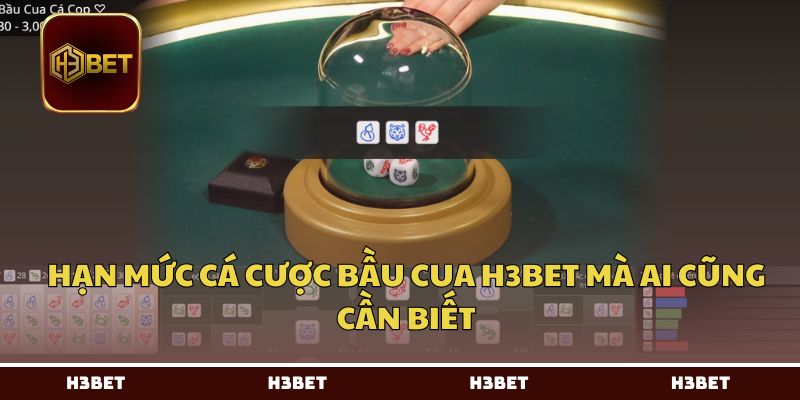 Hạn mức cá cược bầu cua H3BET mà ai cũng cần biết