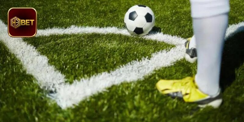 Phân tích tổng quan về tỷ lệ cá cược hấp dẫn hàng đầu