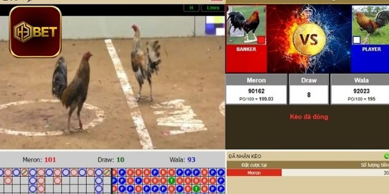 Những điểm mạnh mà thương hiệu này đang sở hữu hiện tại