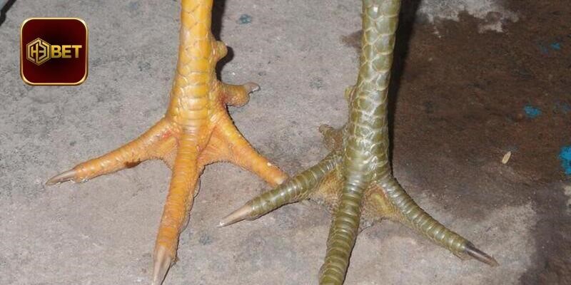 Tìm hiểu các dạng vảy xấu mà anh em nên chú ý